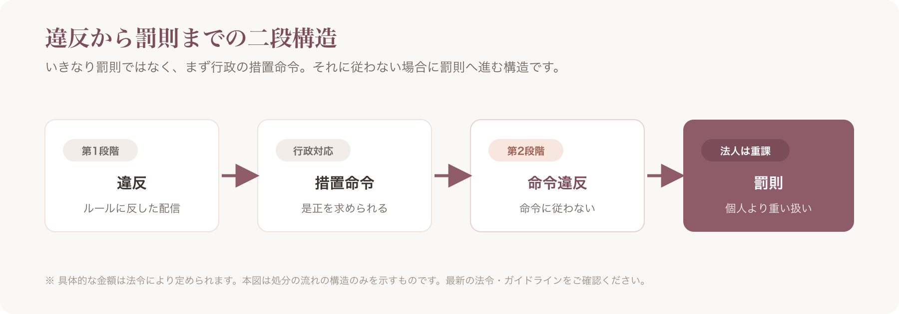 「違反 → 行政の措置命令 → 命令違反 → 罰則(法人重課)」の二段構造フロー図
