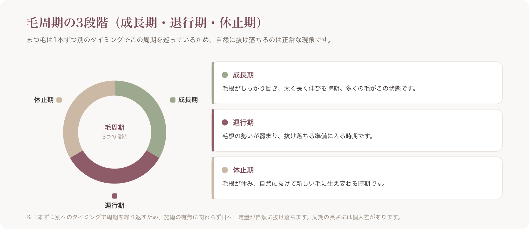 毛周期の3段階(成長期・退行期・休止期)を示す図